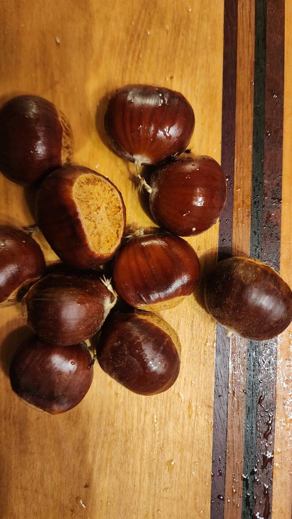 Orchard Mix – 10 seed nuts
