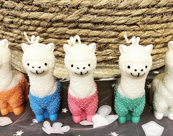 Alpaca