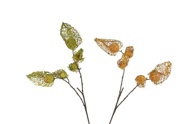Kunst tak Physalis groen/geel 2 assortie zijde - 75cm
