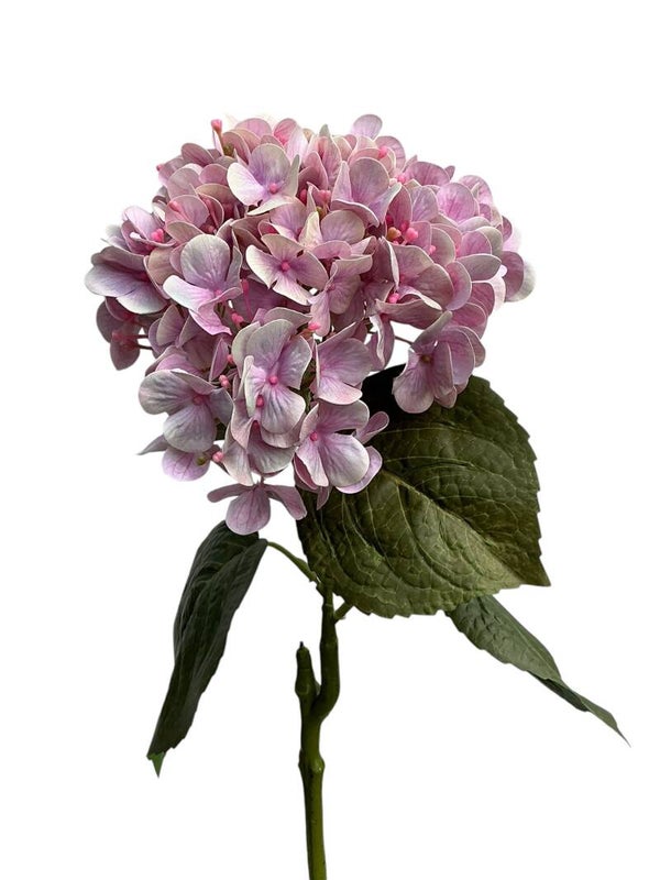 Tak Hydrangea spray - 75 cm - 4 kleuren