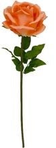 Tak Roos - 108 cm - 6 kleuren