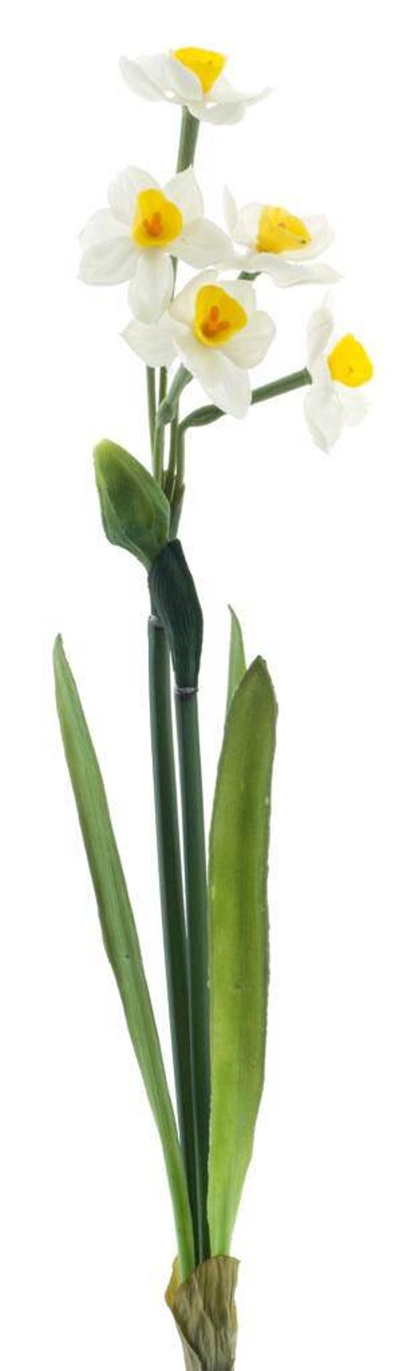 Tak Real touch Narcissus crailo spray cream/yellow - 50cm