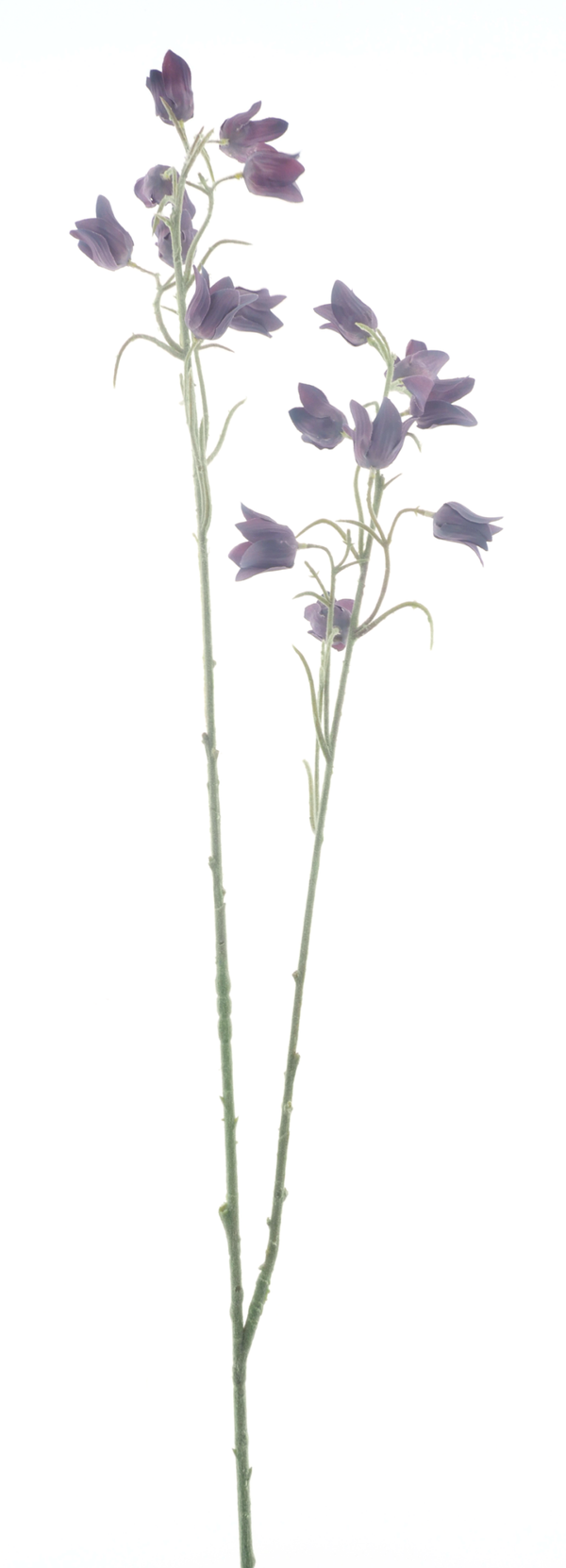 Tak Mini Cora bell spray purple - 105cm