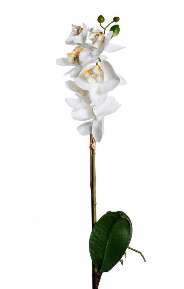 Tak real touch PHALAENOPSIS - 42 cm
