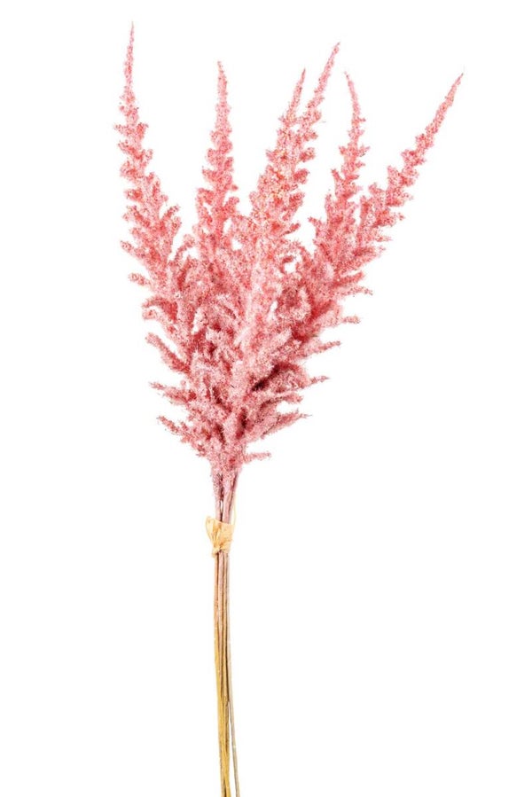 Boeket Flocking Astilbe - 5 kleuren
