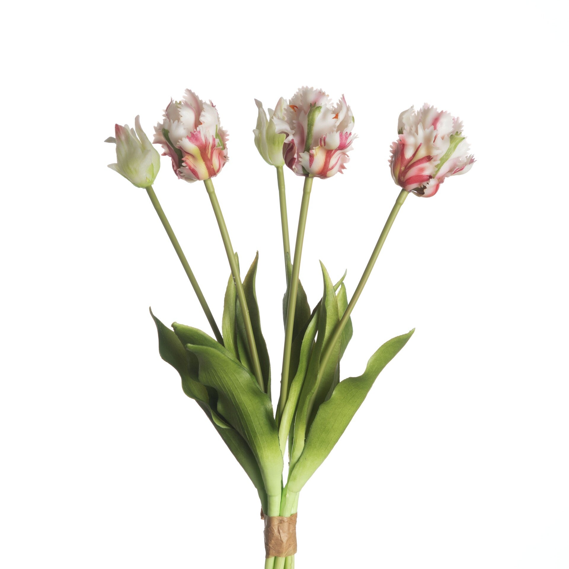 Real touch tulp Parrot 5 stuks - Wit/Groen