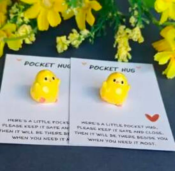 Pocket hug Duck