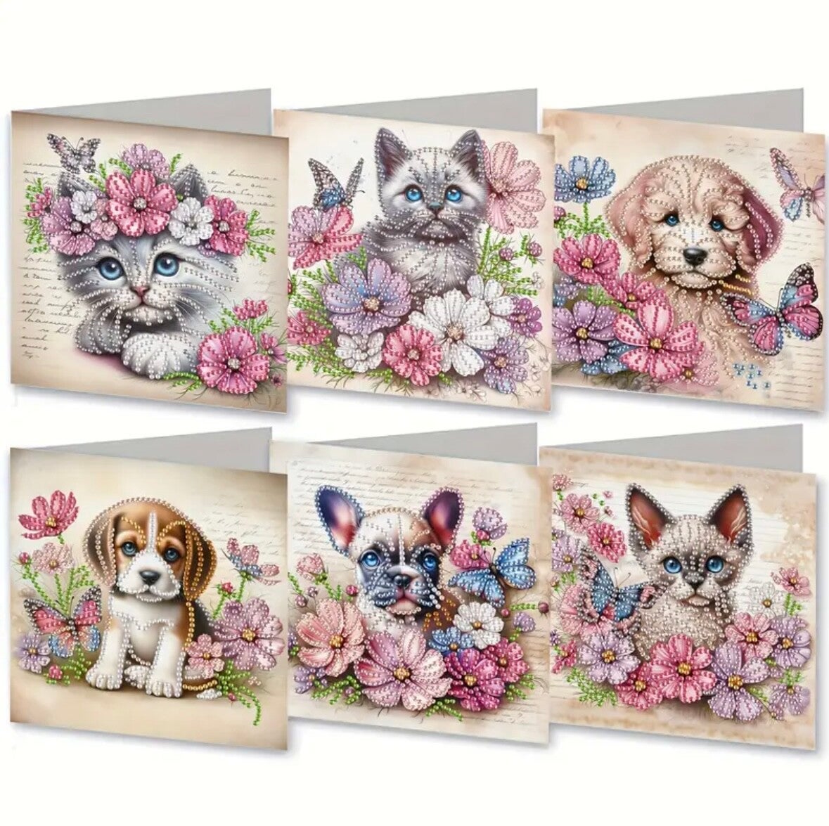 Kaart Kat & Hond - Set van 6 kaarten incl. steentjes