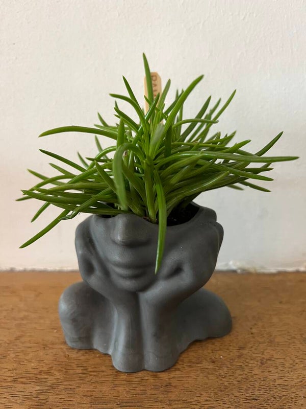 Bloempot  Face - Verschillende kleuren