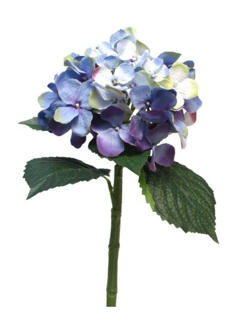 Tak Hydrangea Artist - 48 cm - Cream, Groen, Lavendel en Pink