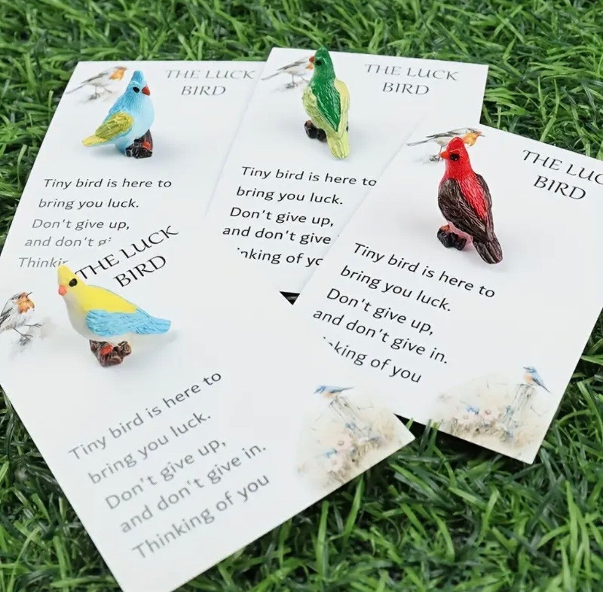 Pocket hug the luck bird