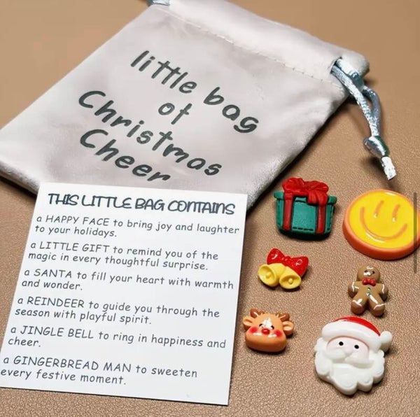 Little bag of Christmas cheer
