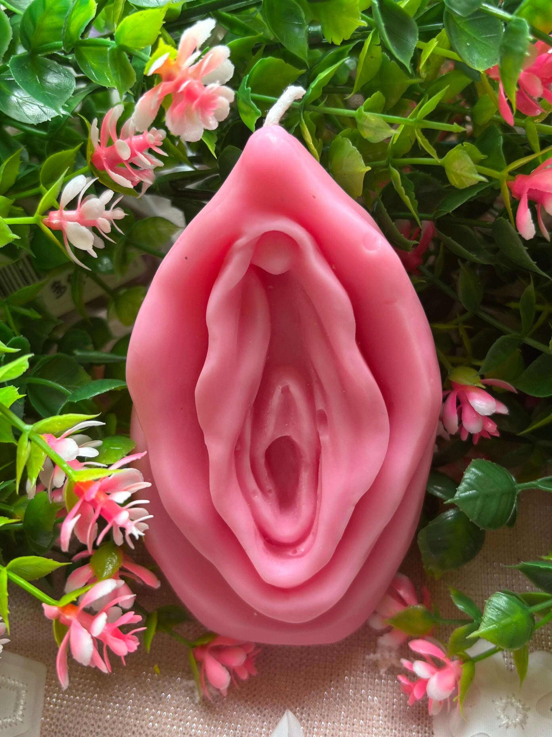 Viva la Vulva - Large