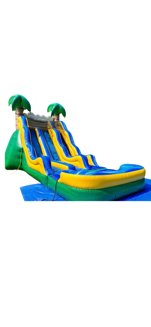 Dual Lane Palm Tree Water Slide