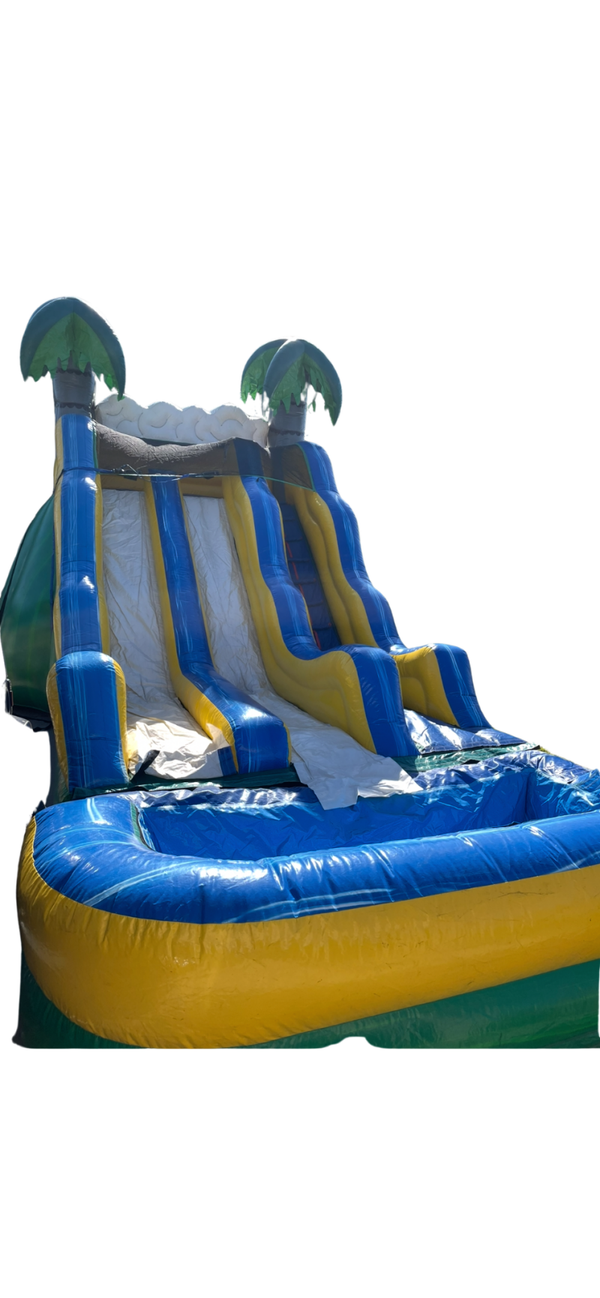 Dual Lane Palm Tree Water Slide