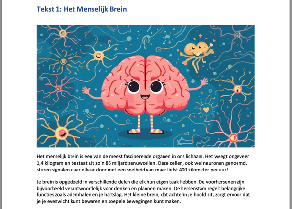 Groep 8 Begrijpend Lezen Werkboek met 10 Teksten