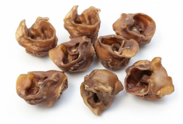 Pig inner ear bites