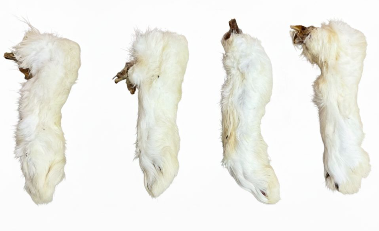 Rabbit Feet (approx 100g)