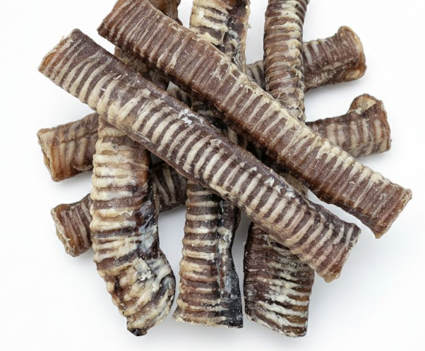 Beef Trachea (15cm)