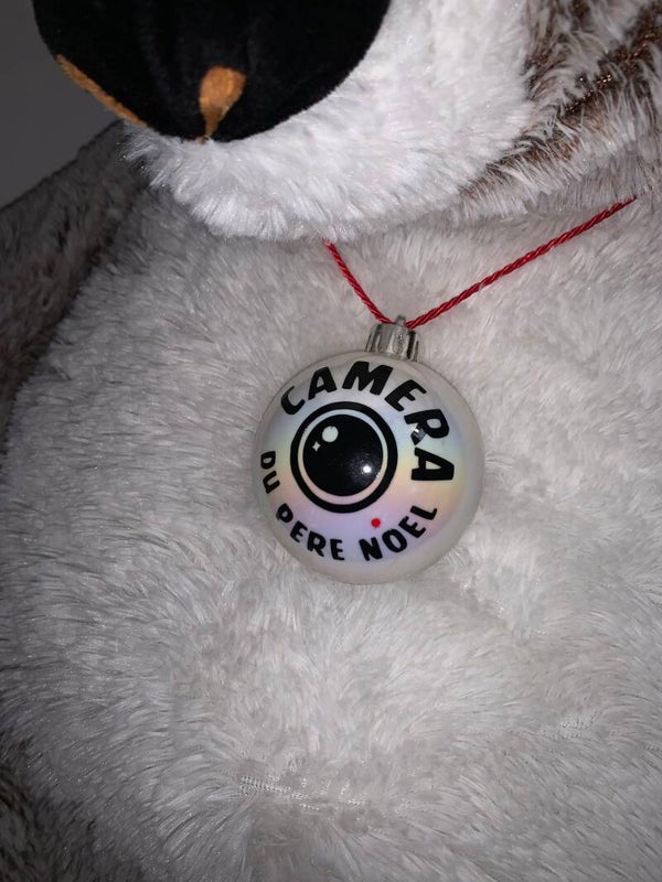 Boule caméra