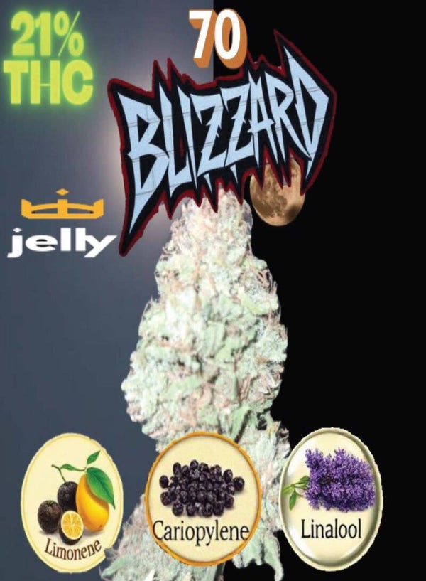 KARTA ,,BLIZZARD"