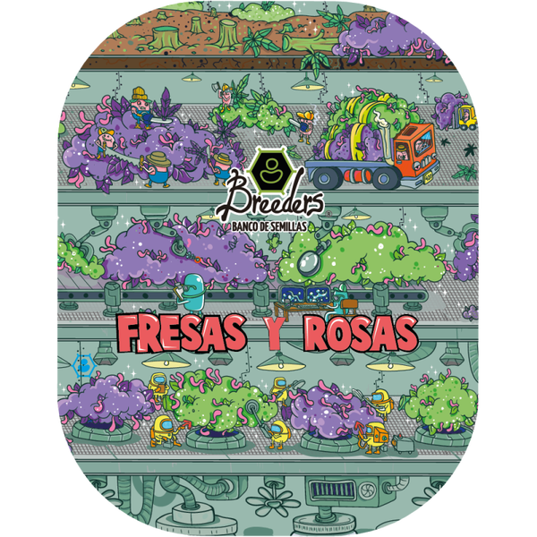 FRESAS Y ROSAS (feminized) 3 szt.