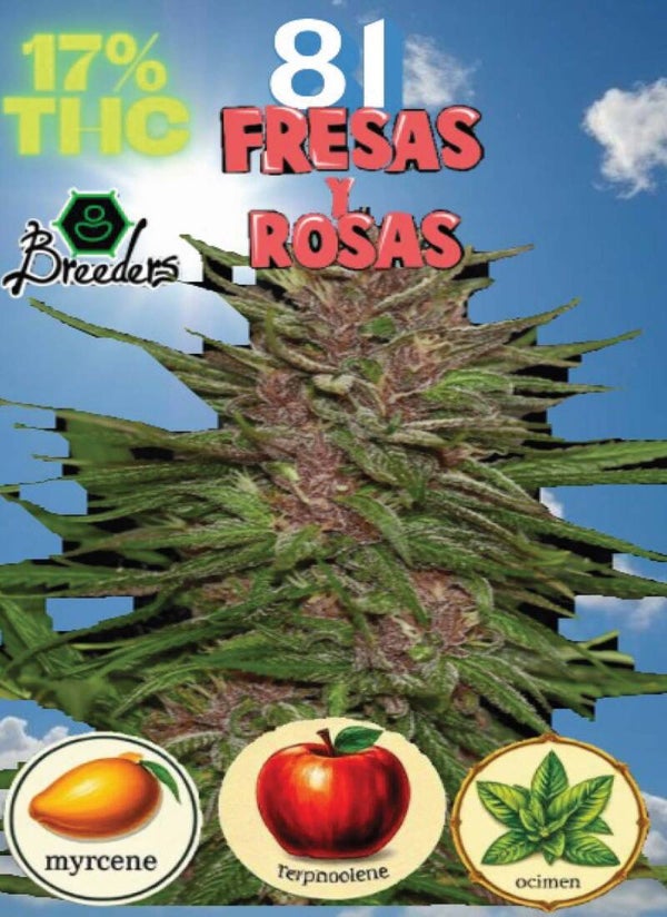 KARTA ,,FRESAS Y ROSAS"