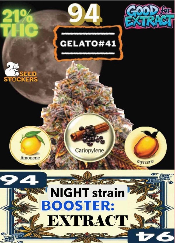 KARTA ,,GELATO 41"