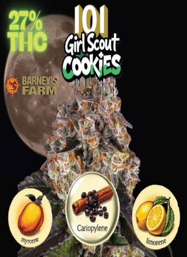 KARTA ,,GIRL SCOUT COOKIES"
