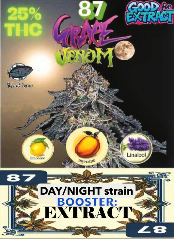 KARTA ,,GRAPE VENOM"