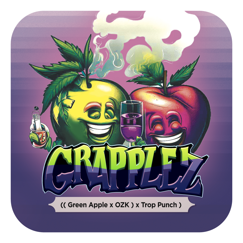 GRAPPLEZ (feminized) 5 szt.