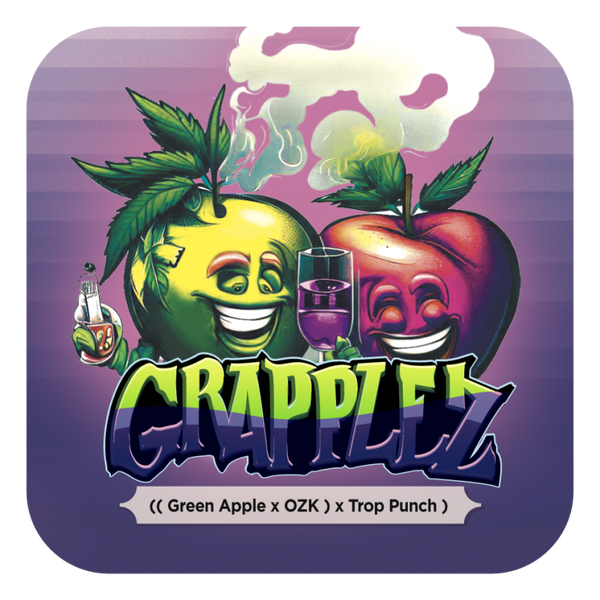 GRAPPLEZ (feminized) 5 szt.