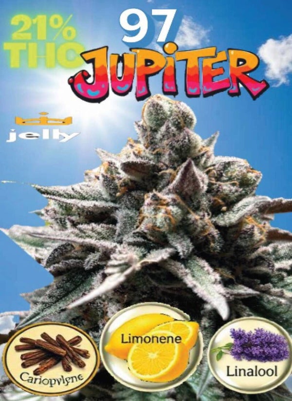 KARTA ,,JUPITER"