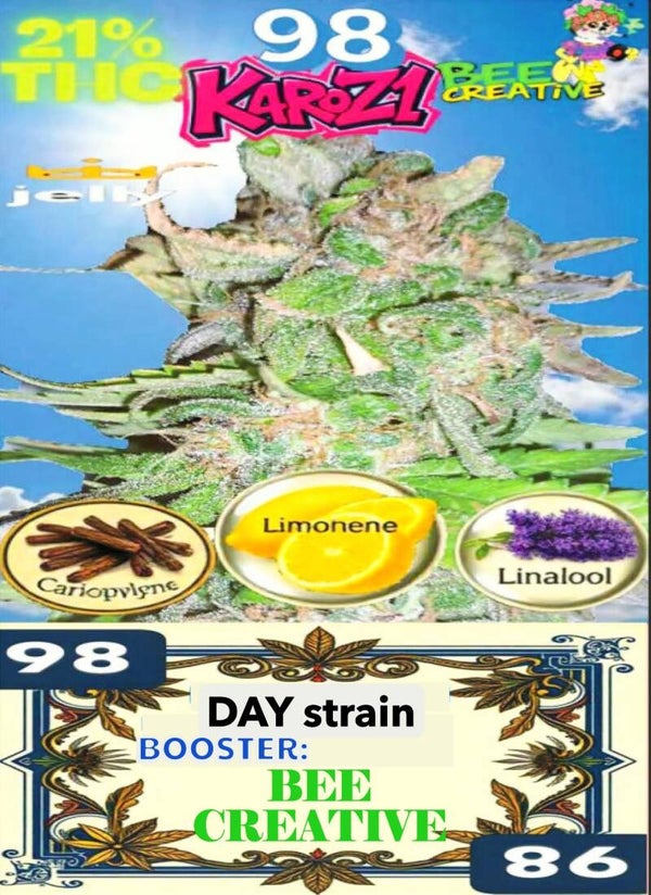 KARTA .. KAROZ1"