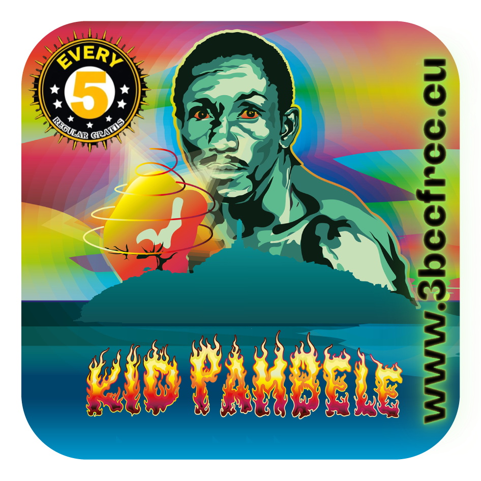 KID PAMBELE (feminized) 5 szt.