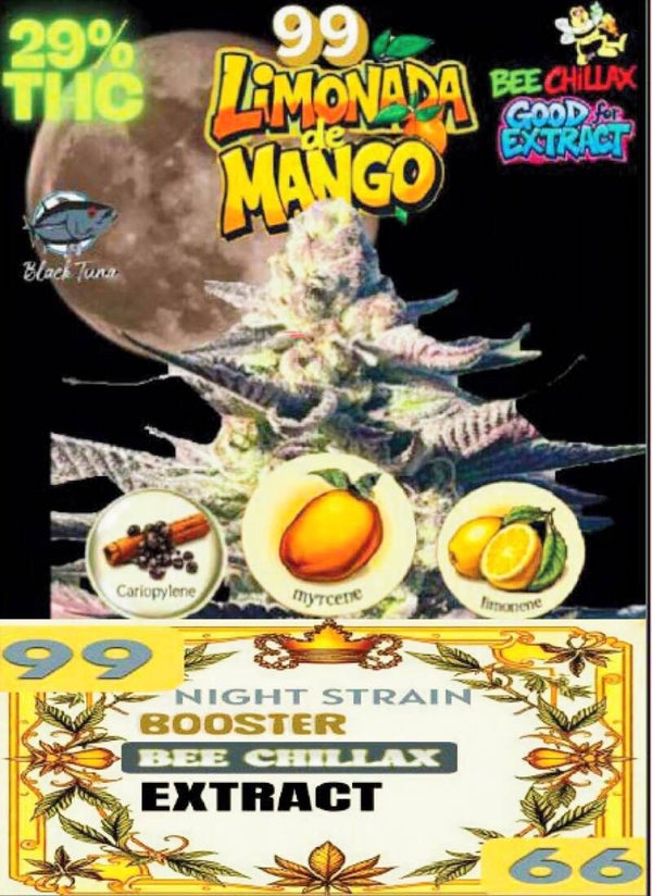 KARTA ..LIMONADA DE MANGO"