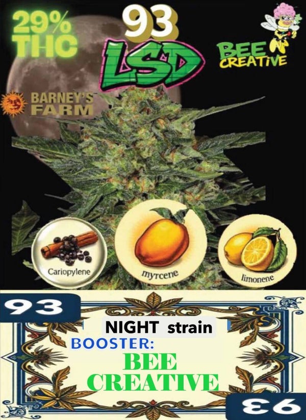 KARTA ,,LSD"