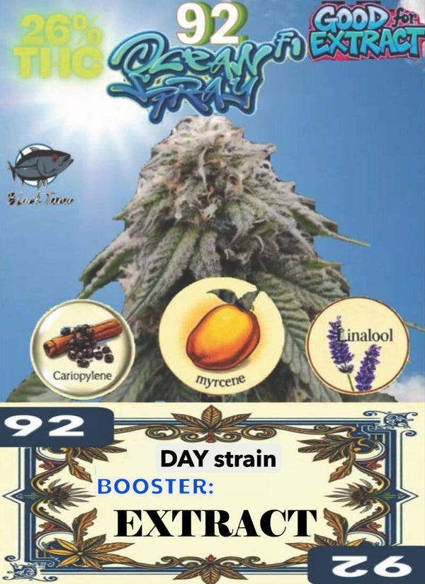 KARTA ,,OCEAN SPRAY"