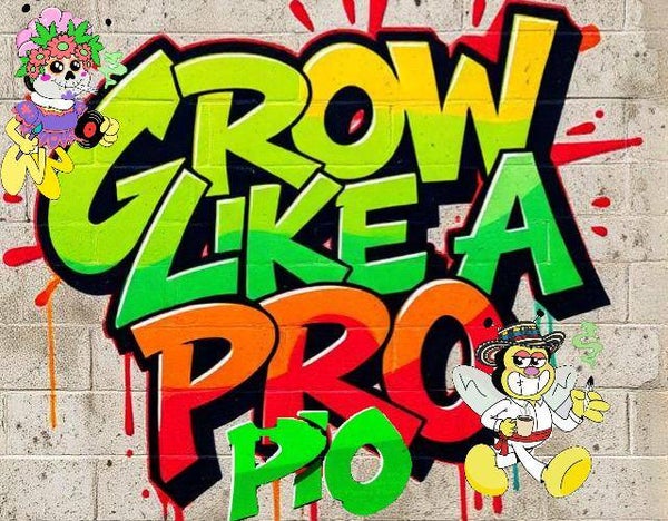 GRA  PLANSZOWA ,,GROW LIKE A PRO PIO"