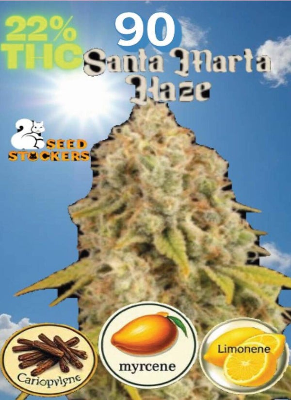 KARTA ,,SANTA MARTA HAZE"