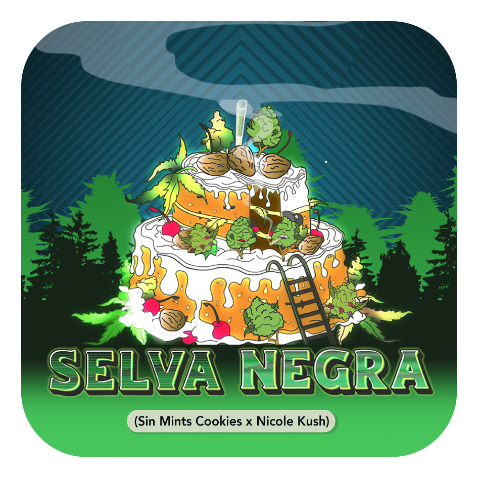 SELVA NEGRA (feminized) 5 szt.