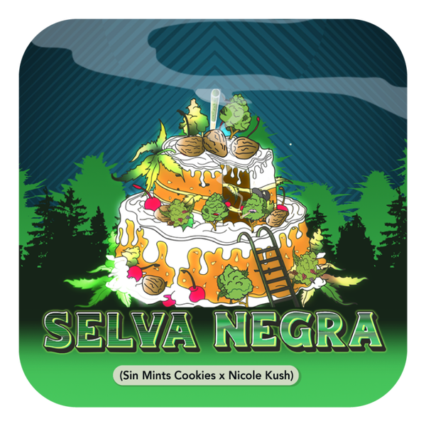 SELVA NEGRA (feminized) 5 szt.