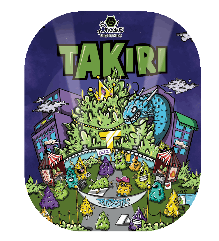 TAKIRI (feminized) 4 szt.