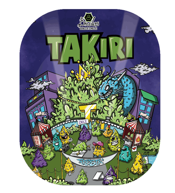 TAKIRI (feminized) 4 szt.