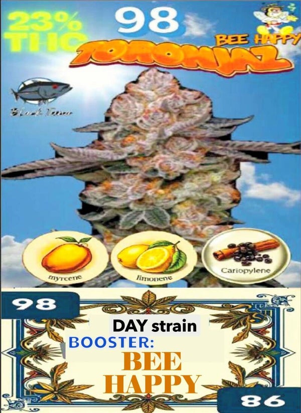 KARTA ,,TORONJAZ"