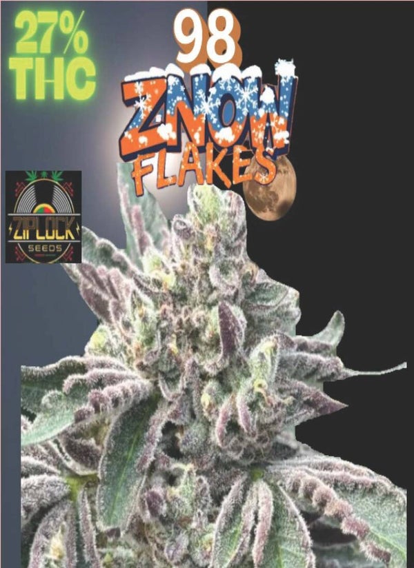 KARTA ,,ZNOW FLAKES"
