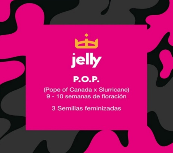 P.O.P (feminized) 3 szt.