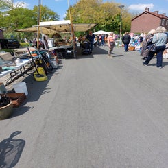 20250426_132710-standard.jpg