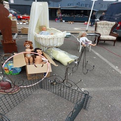 20220508_092037.jpg