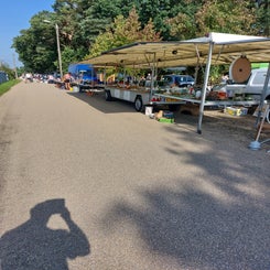 20230910_110434.jpg